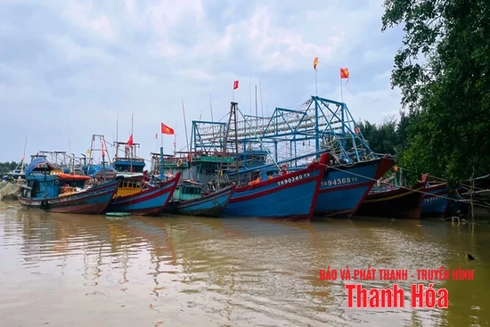 Thanh Hóa đã kêu gọi được 5.755 tàu thuyền về nơi tránh trú an toàn