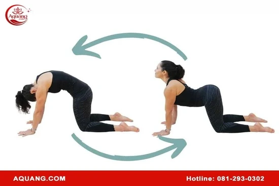 Tập các bài yoga chữa đau lưng vai gáy cùng A Quang Kegel