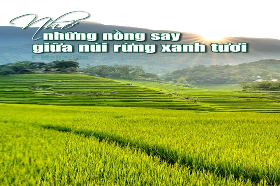 [E-Magazine]: Nhớ những nồng say giữa núi rừng xanh tươi