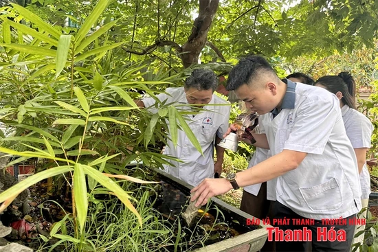 Cao điểm phòng, chống bệnh sốt xuất huyết, tay chân miệng và COVID-19