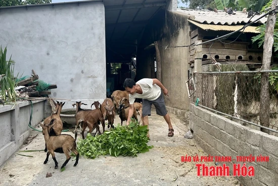 Sống là để tiếp tục cống hiến