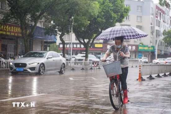Bão nhiệt đới Comay đổ bộ lần thứ 2 vào Trung Quốc