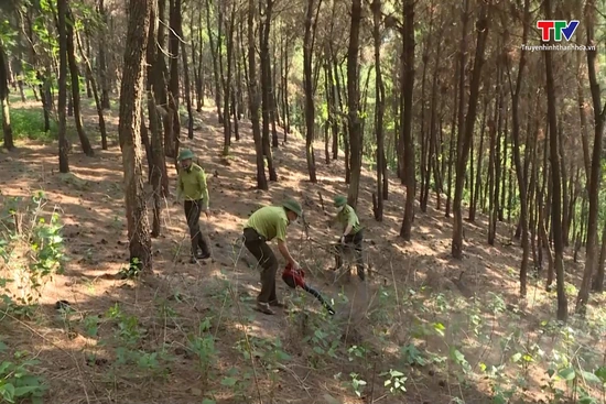 Dự báo và thông tin cấp dự báo cháy rừng từ ngày 30/7 - 3/8/2025
