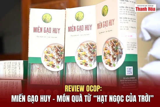 [REVIEW OCOP] Miến gạo Huy - Món quà từ “hạt ngọc của trời”