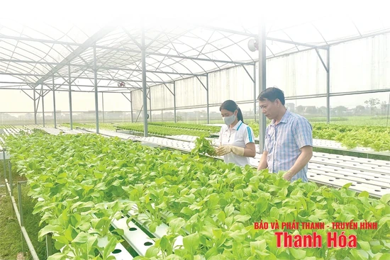 Ứng dụng công nghệ trong chuỗi cung ứng nông sản an toàn