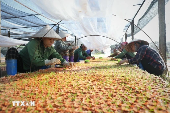 Thực hiện Nghị quyết 68: “Không tô hồng” và phải “đong, đếm được”