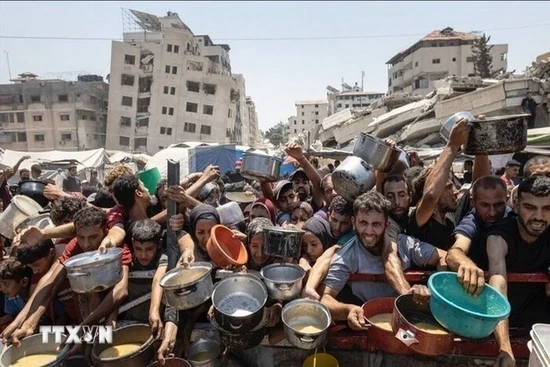 Israel cho phép 370 xe tải chở hàng viện trợ vào Dải Gaza