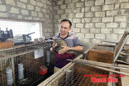 Mô hình con nuôi đặc sản đem lại hiệu quả kinh tế cao