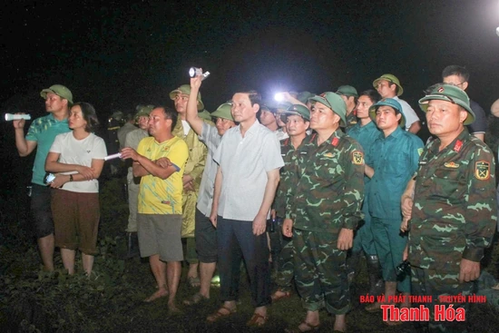 Khẩn trương xử lý, khắc phục sự cố xảy ra tại các tuyến đê trên địa bàn tỉnh
