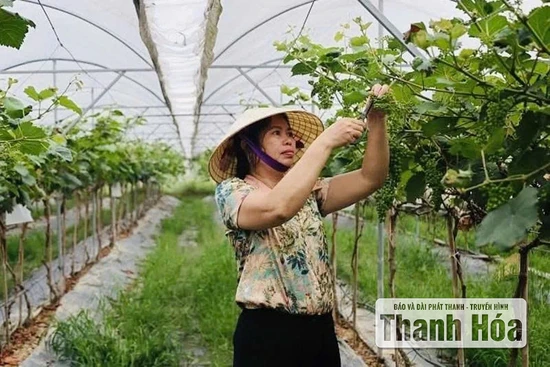Để nông sản “tự kể chuyện mình”
