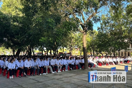Cập nhật tin khai giảng
