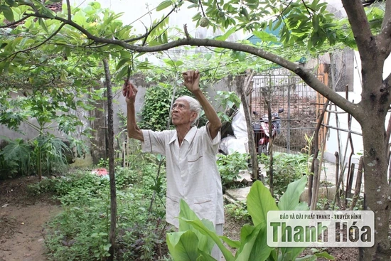 Nhớ về Bác, lòng ta trong sáng hơn!