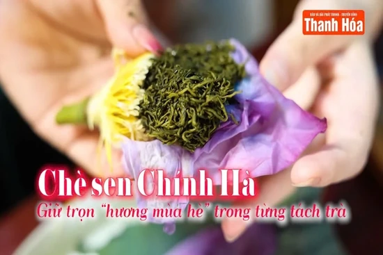 [REVIEW OCOP] Chè sen Chính Hà – Giữ trọn “hương mùa hè” trong từng tách trà