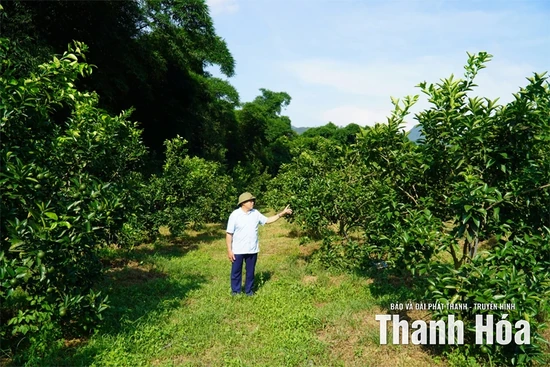 Người lan tỏa phong trào tích tụ tập trung đất đai