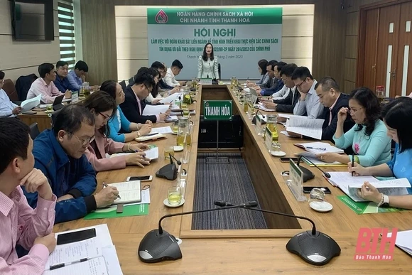 Kịp thời giải ngân nguồn vốn hiệu quả để đồng bào dân tộc thiểu số sớm được vay vốn chương trình tín dụng ưu đãi