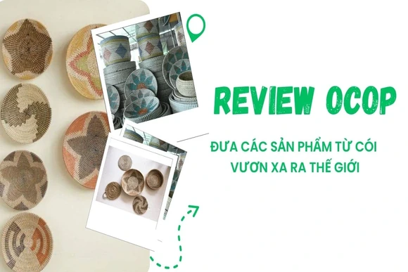[REVIEW OCOP] Đưa các sản phẩm từ cói vươn xa