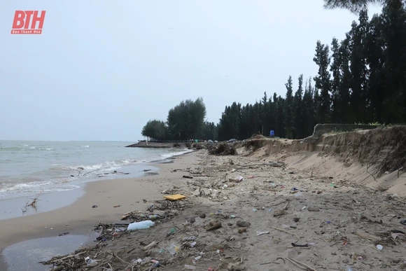 Công bố tình huống khẩn cấp sạt lở, xâm thực bờ biển khu vực 3 xã Hoằng Trường, Hoằng Thanh, Hoằng Phụ