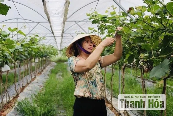 Để nông sản “tự kể chuyện mình”