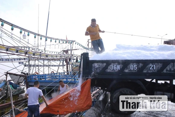 Giải “bài toán” thiếu lao động nghề biển