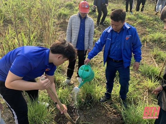 Đẩy mạnh phát triển mô hình cải tạo vườn tạp ở Krông Pắc  Báo Đắk Lắk điện  tử