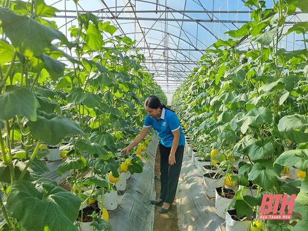 Nghi Vấn Tham Ô Liên Quan Đến Diễn Viên Hoàng Dương Điền Điềm: Cuộc Khủng Hoảng Của Gia Đình