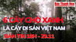 Bản tin 18h: 6 cây chò xanh tại Khu bảo tồn Pù Hu là cây Di sản Việt Nam