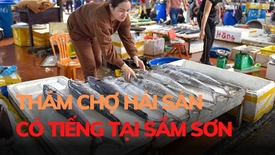 Thăm chợ hải sản nổi tiếng tại Sầm Sơn
