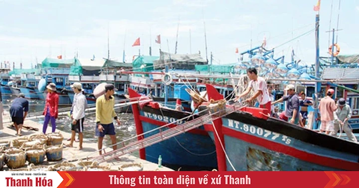 Bản tin Thanh Hóa Online ngày 18-9-2019