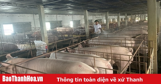 Bảo đảm Nguồn Cung Thực Phẩm Dịp Cuối Năm