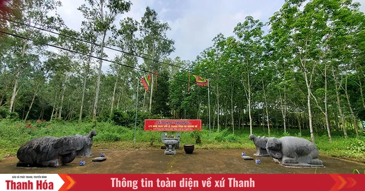 baothanhhoa.vn