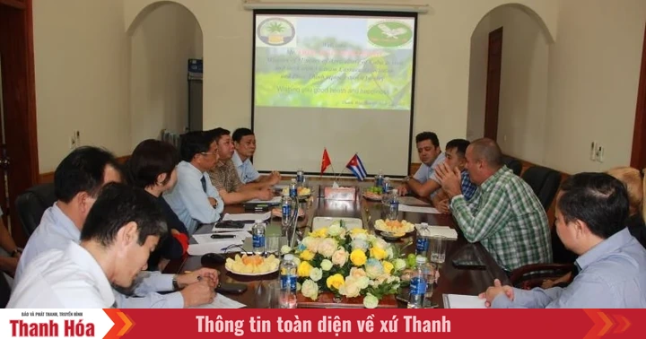 baothanhhoa.vn