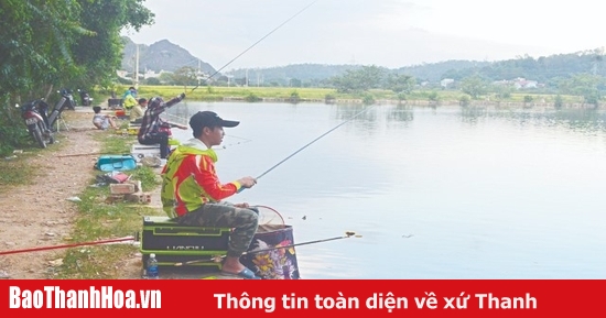 Top 20 địa điểm câu cá giải trí ở TPHCM lý tưởng nên trải nghiệm