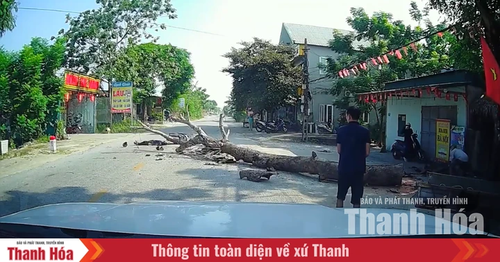 baothanhhoa.vn