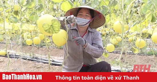 Chế biến để tăng sức cạnh tranh cho nông sản