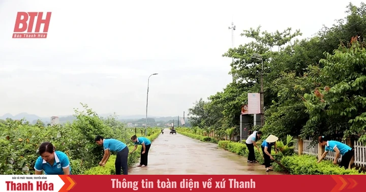 baothanhhoa.vn