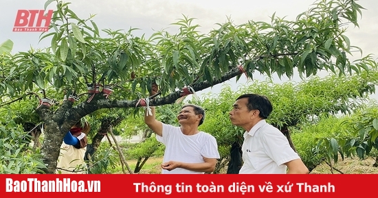 baothanhhoa.vn