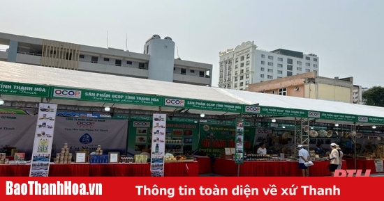 Đặc sắc các gian hàng trưng bày, quảng bá sản phẩm OCOP