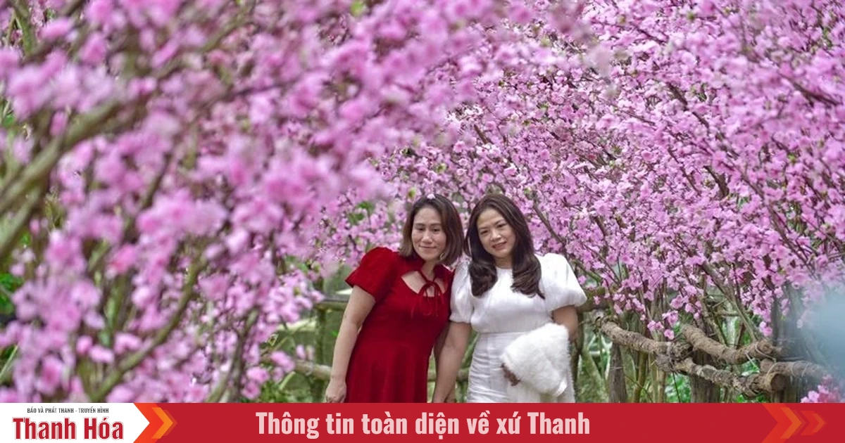 baothanhhoa.vn