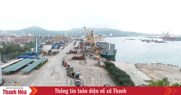 Định hình trụ cột logistics và dịch vụ cảng biển