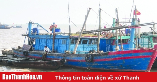 Độc đáo Tết cúng thuyền truyền thống của ngư dân