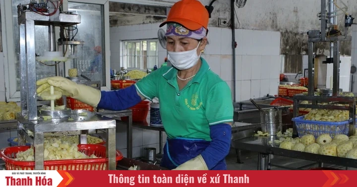 baothanhhoa.vn