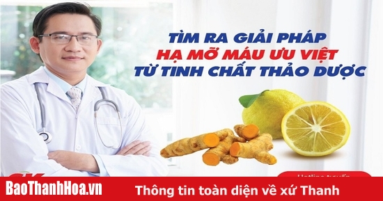 Bài thuốc dân gian giảm mỡ máu tại nhà nhờ cây trạch tả có hiệu quả không?
