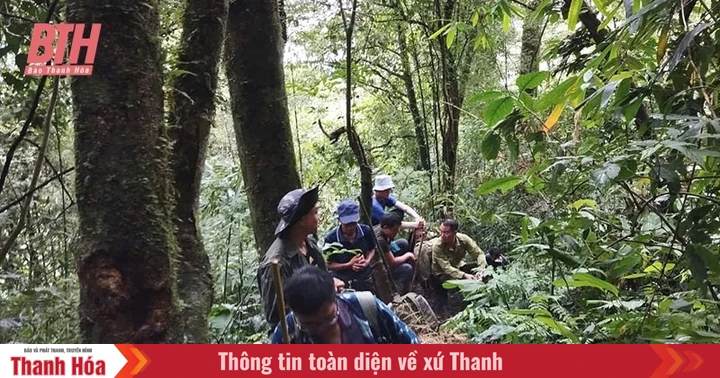 Giữ rừng tại Khu Bảo tồn thiên nhiên Pù Luông