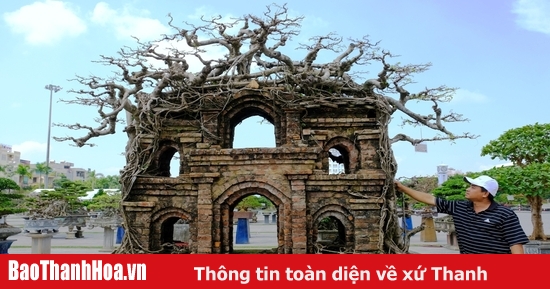 Hàng nghìn cây cảnh độc đáo được trưng bày tại Quảng ...