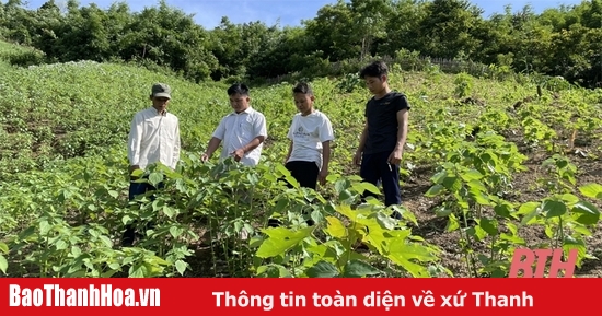 Top 8 nơi may mũ nón xuất khẩu ở Huyện Phù Ninh mới nhất