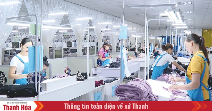 Hỗ trợ doanh nghiệp thực thi FTA, mở rộng xuất khẩu