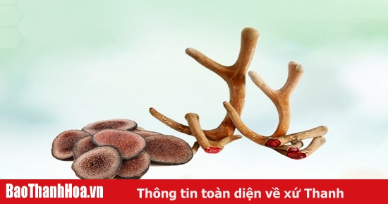 Có những cách sử dụng cốt nhân sâm khác ngoài việc uống nước?
