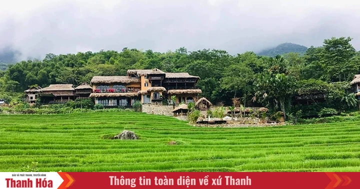 baothanhhoa.vn