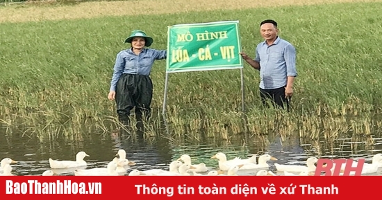 Tam Nông lan tỏa mô hình Lúa  Cá  Vịt  THDT  YouTube