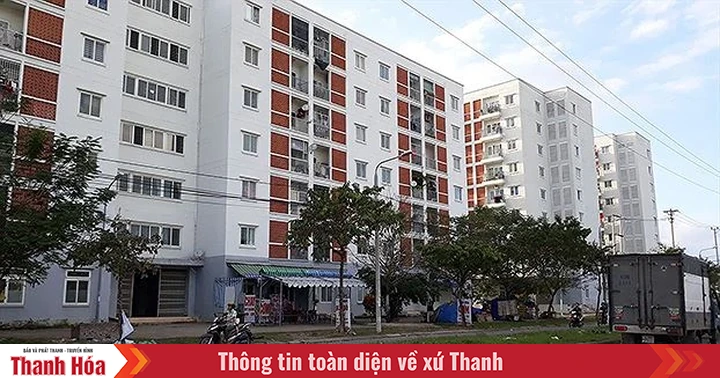 baothanhhoa.vn